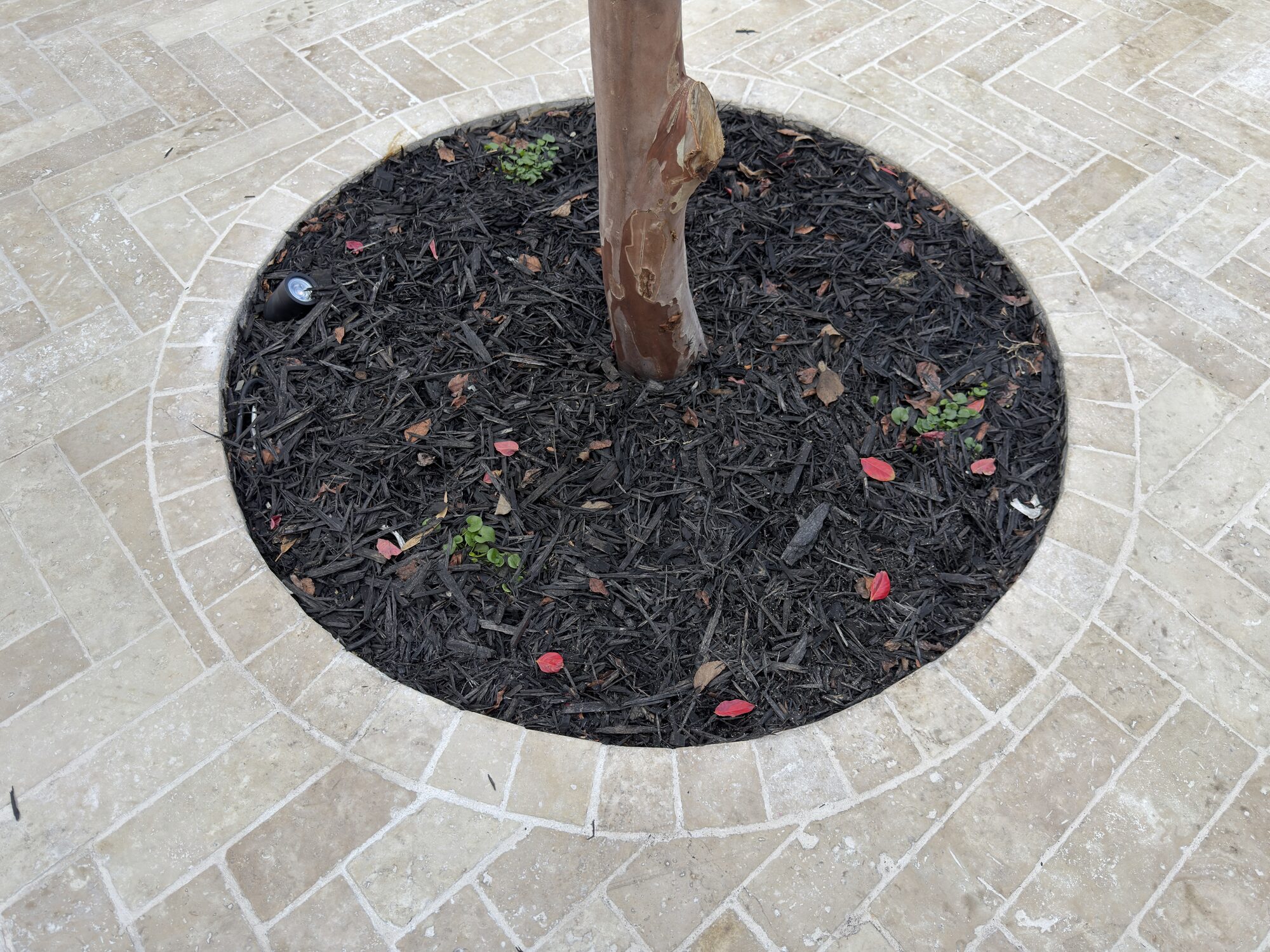 Burswood — completed 3