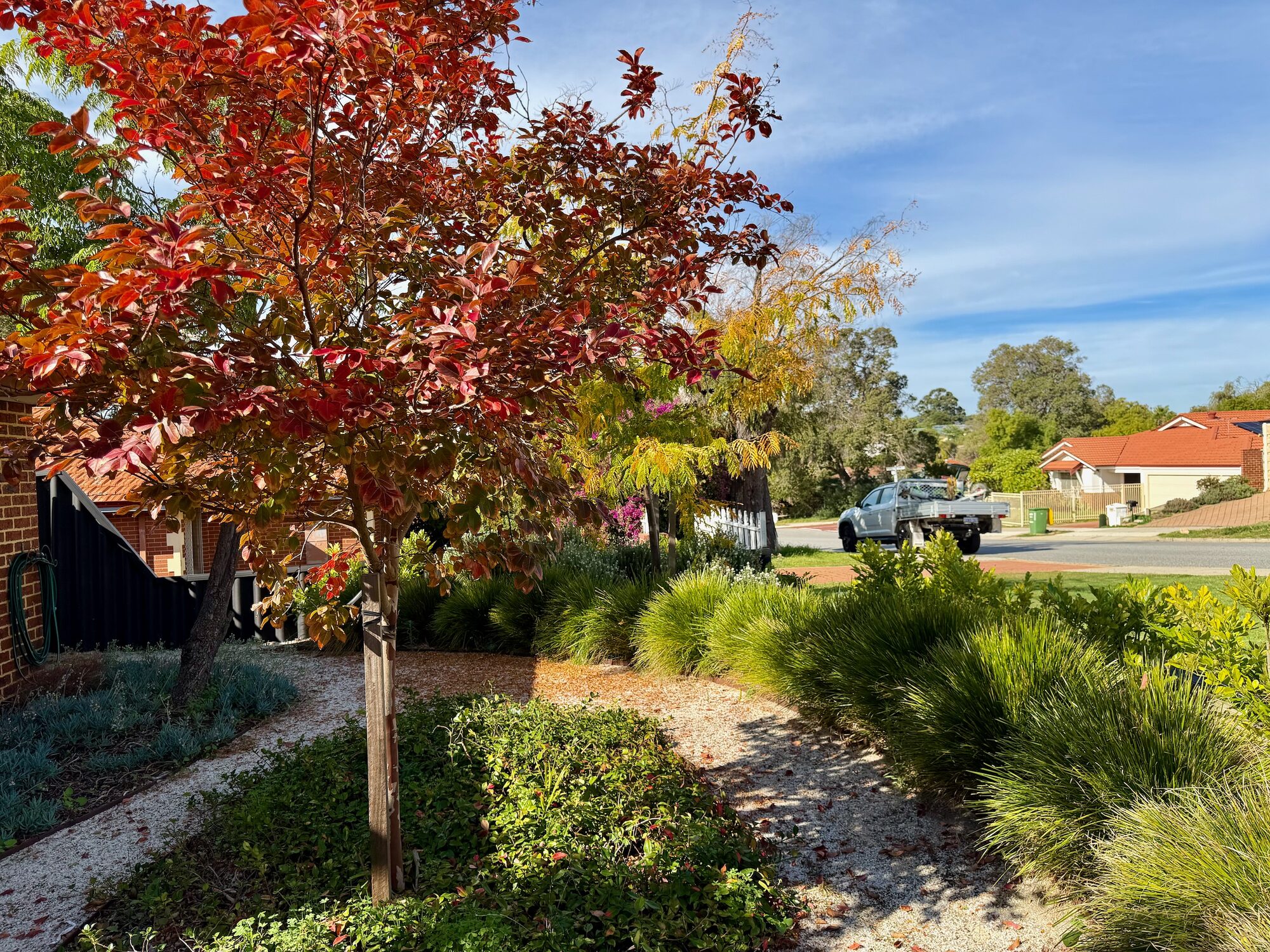 Willagee — landscape design by May Landscape Studio